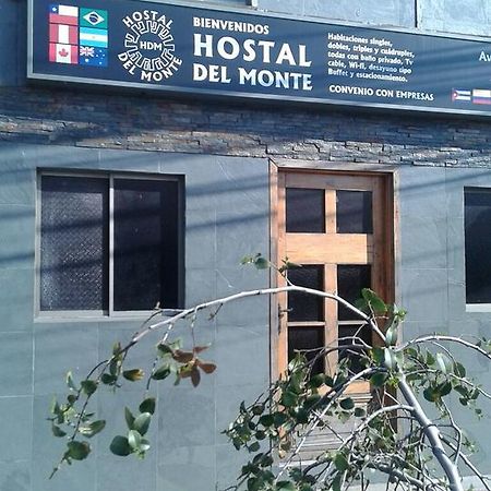 Hostal Del Monte Talca (Maule) Ngoại thất bức ảnh